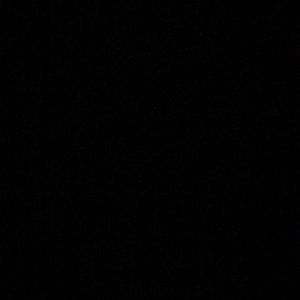 Meet your Posher, Rosie